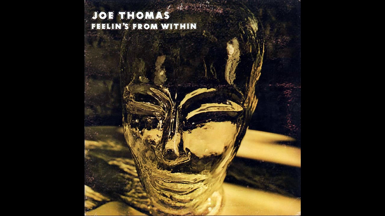 Polarizer (Feelin's From Within LP) Vinyl | ROVR