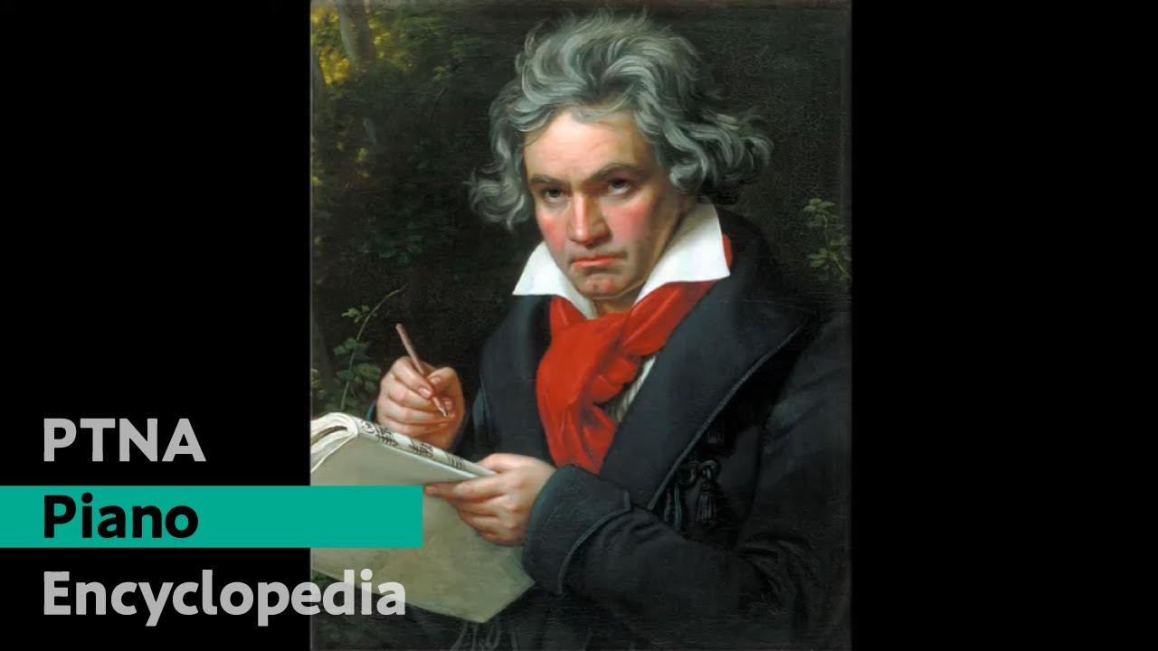 ベートーヴェン:ピアノ三重奏曲 第7番「大公」第1楽章 関 晴子:Seki