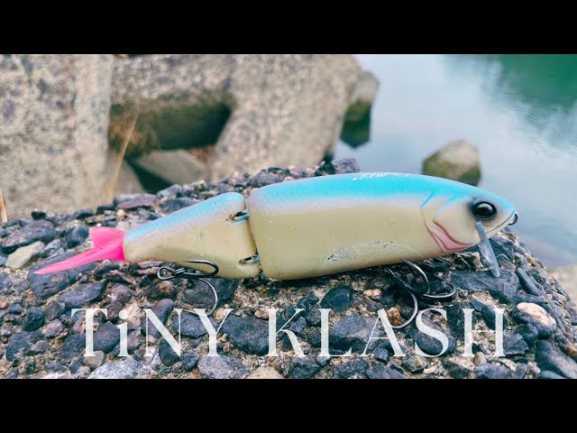 バス釣り】 TiNY KLASH Low / Specter 『Zero One Game』 - YouTube