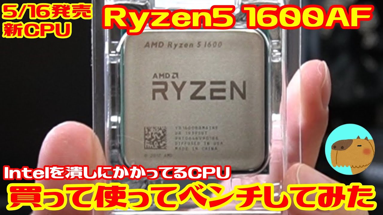 I bought the latest AMD CPU, the Ryzen 5 1600AF, released on May