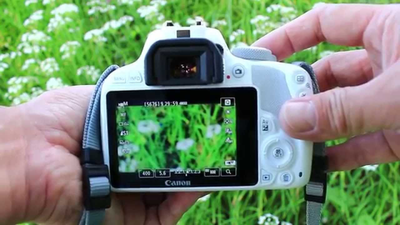 EOS Kiss X7の動画機能で蝶を撮る - YouTube