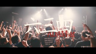 ADAM at | P.T.（初回限定盤） | ビクターエンタテインメント