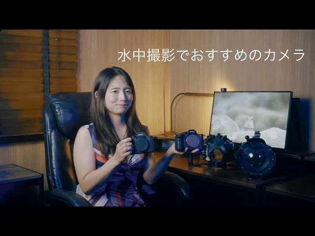 水中撮影で使用しているカメラ│Sony α7sⅢ│レビュー - YouTube