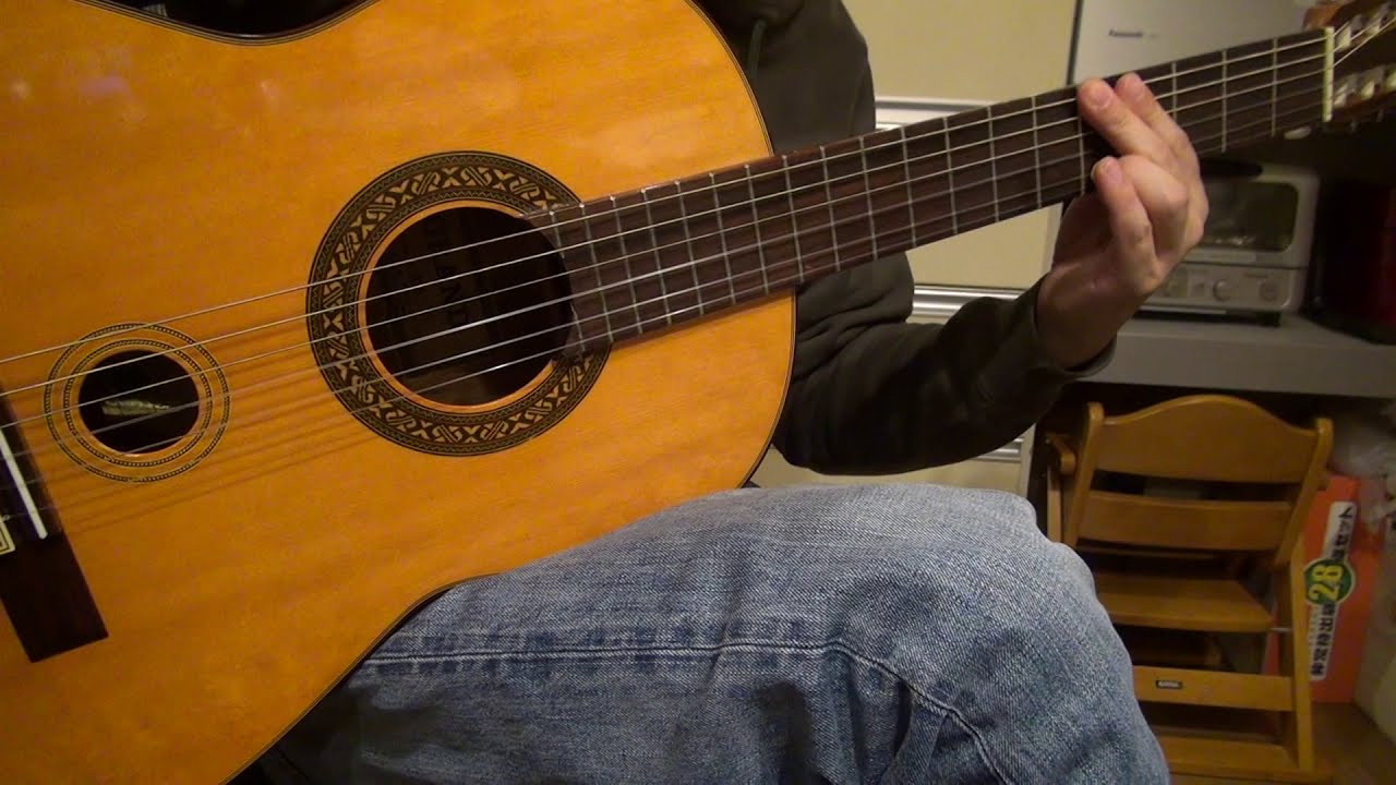 O ASTRONAUTA-BADEN POWELL WSG-50 ワールドサウンドギター（ダブル