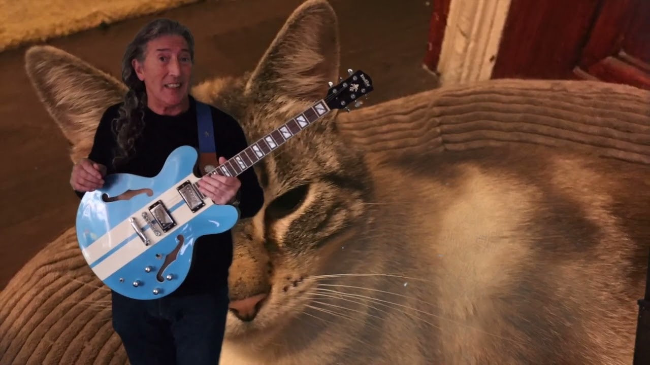 2003 Indie semi hollow (335) demo and review - YouTube