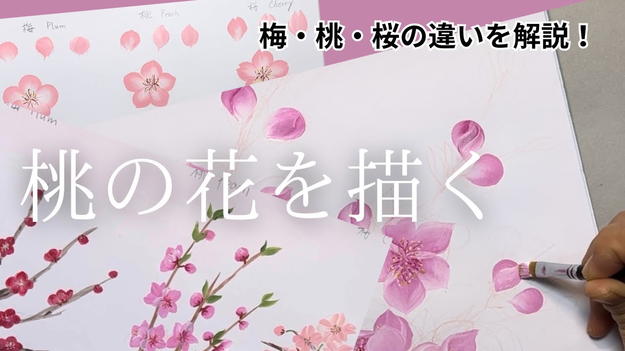 夕顔 杏の花 梅の花 など絵の掛け軸6点まとめ売り 夕顔 杏の花 梅の花