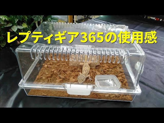 レプティギアの使用感（スドー） ReptyGear365 SUDO super cage for