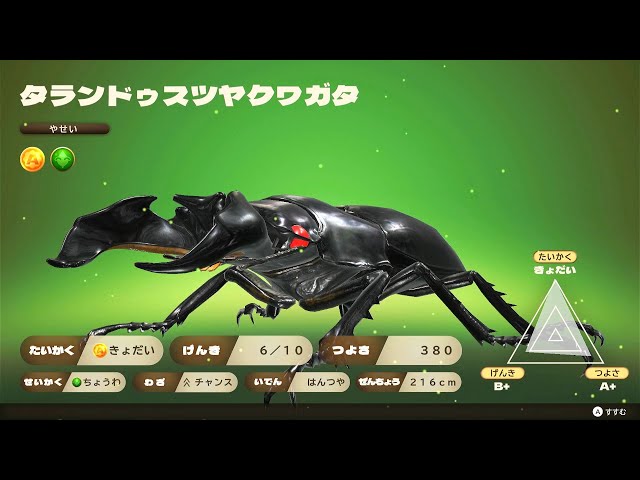 カブトクワガタ DLC 第2弾 - タランドゥスツヤクワガタ登場! 新世代