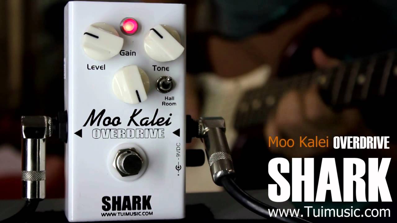 SHARK Moo kalei Overdrive - YouTube