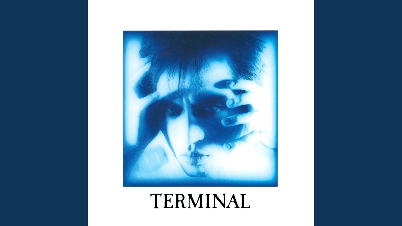 THE STALIN「I was THE STALIN～絶賛解散中～完全版」試聴ダイジェスト