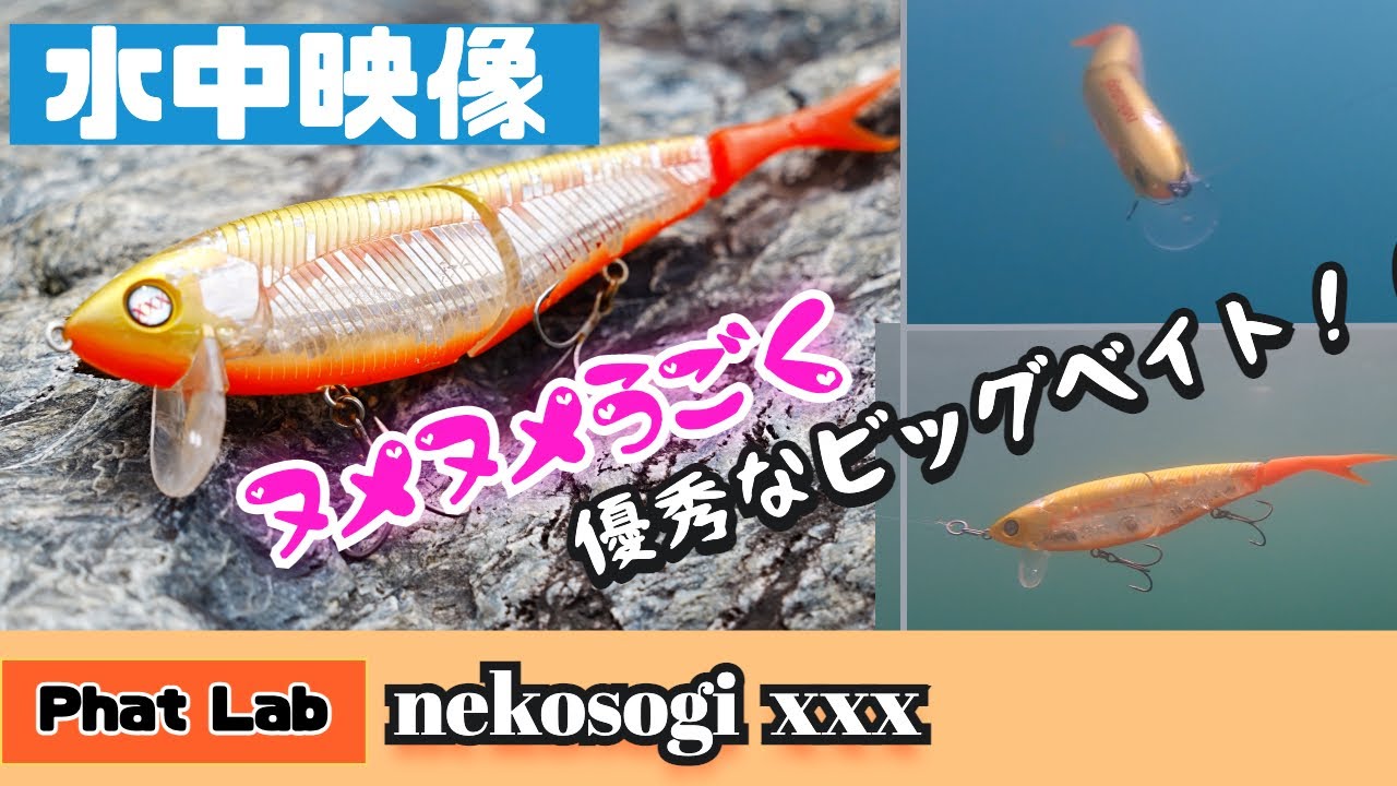 水中映像】ネコソギxxxは優秀なビッグベイトでした【シーバス】 - YouTube