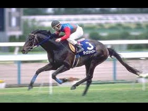 ライスシャワー！メジロマックイーン3連覇を阻む 第141回 天皇賞（春