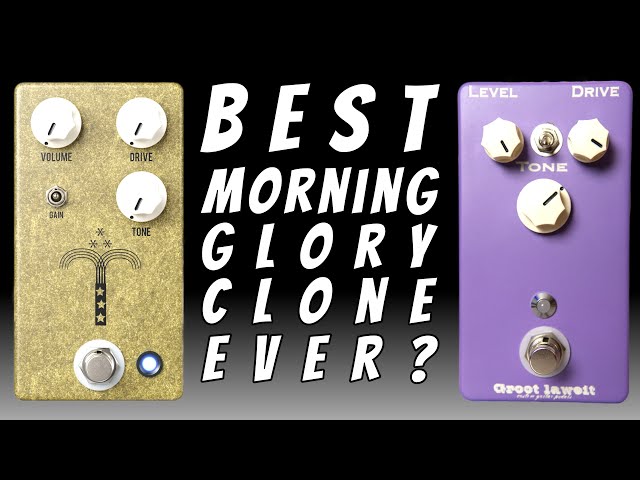 THE BEST JHS MORNING GLORY CLONE EVER? - YouTube