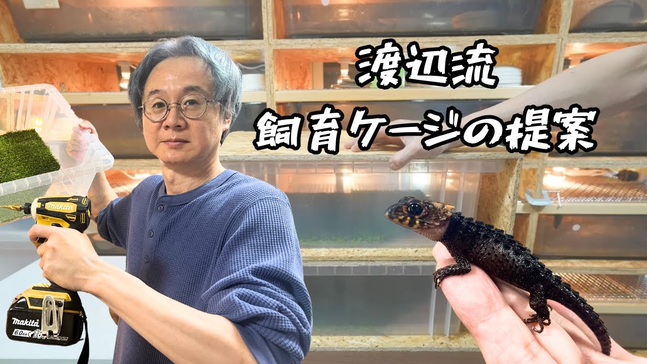 We will introduce how to make a reptile cage using a clothing case