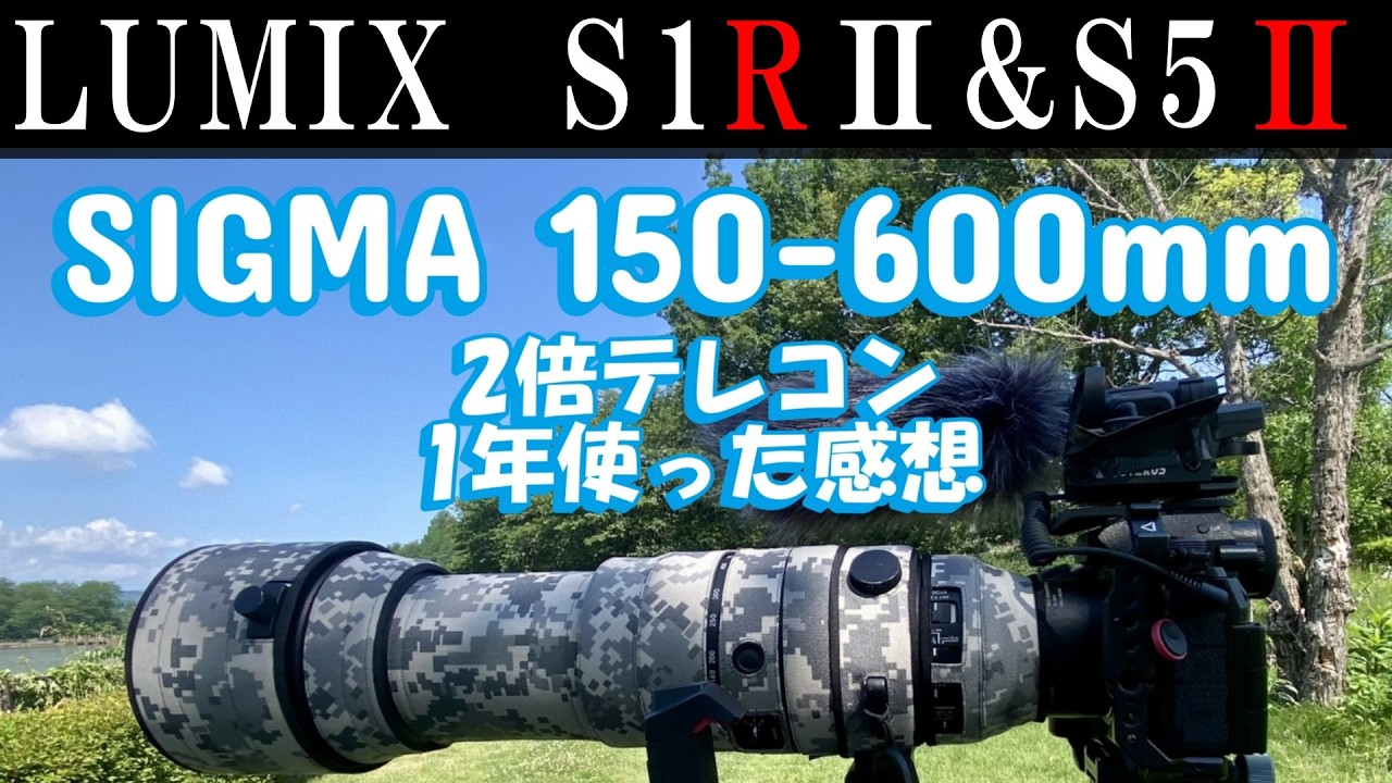 SIGMA 150-600mm SPORTS 2x Teleconverter - My impressions after