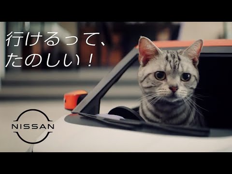 日産・デイズ CM】－にゃっさんデイズ 編 2021 NISSAN Japan『DAYZ』TV