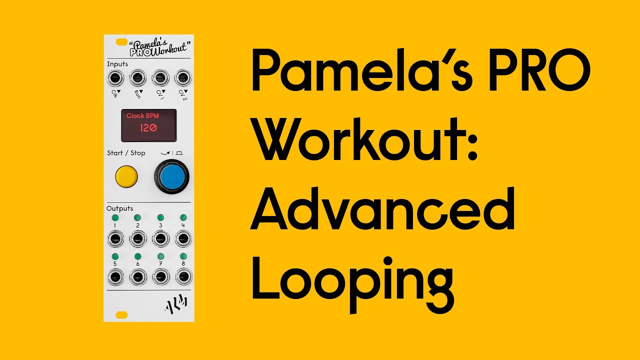 ALM/Busy Circuits(エーエルエムビジーサーキット) Pamela's PRO