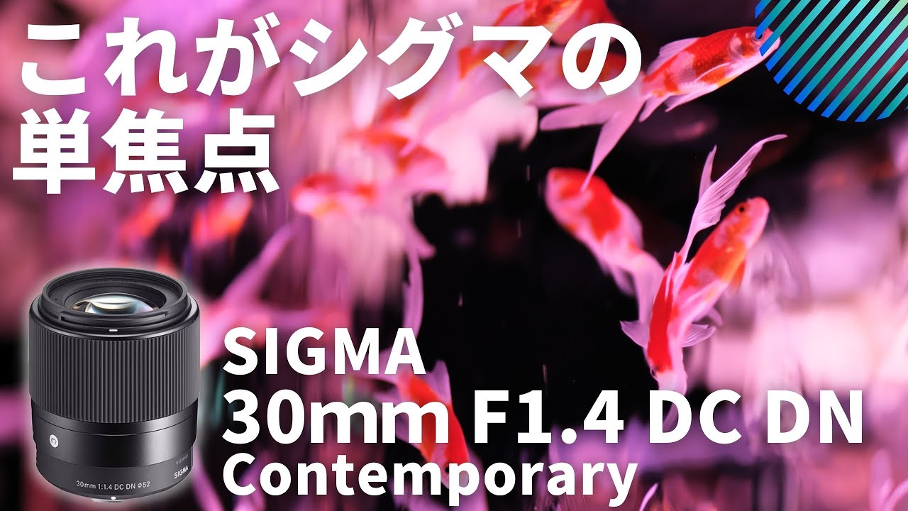 This is Sigma's prime lens. SIGMA 30mm F1.4 DC DN Contemporary X