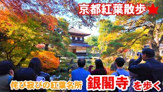 11/30 (Sun) Autumn Leaves Walk in Kyoto 🍁 Walking around