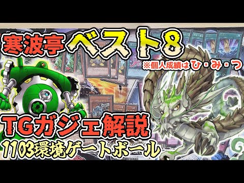 1103環境】（実写）意識したポイントを解説します！TGガジェット