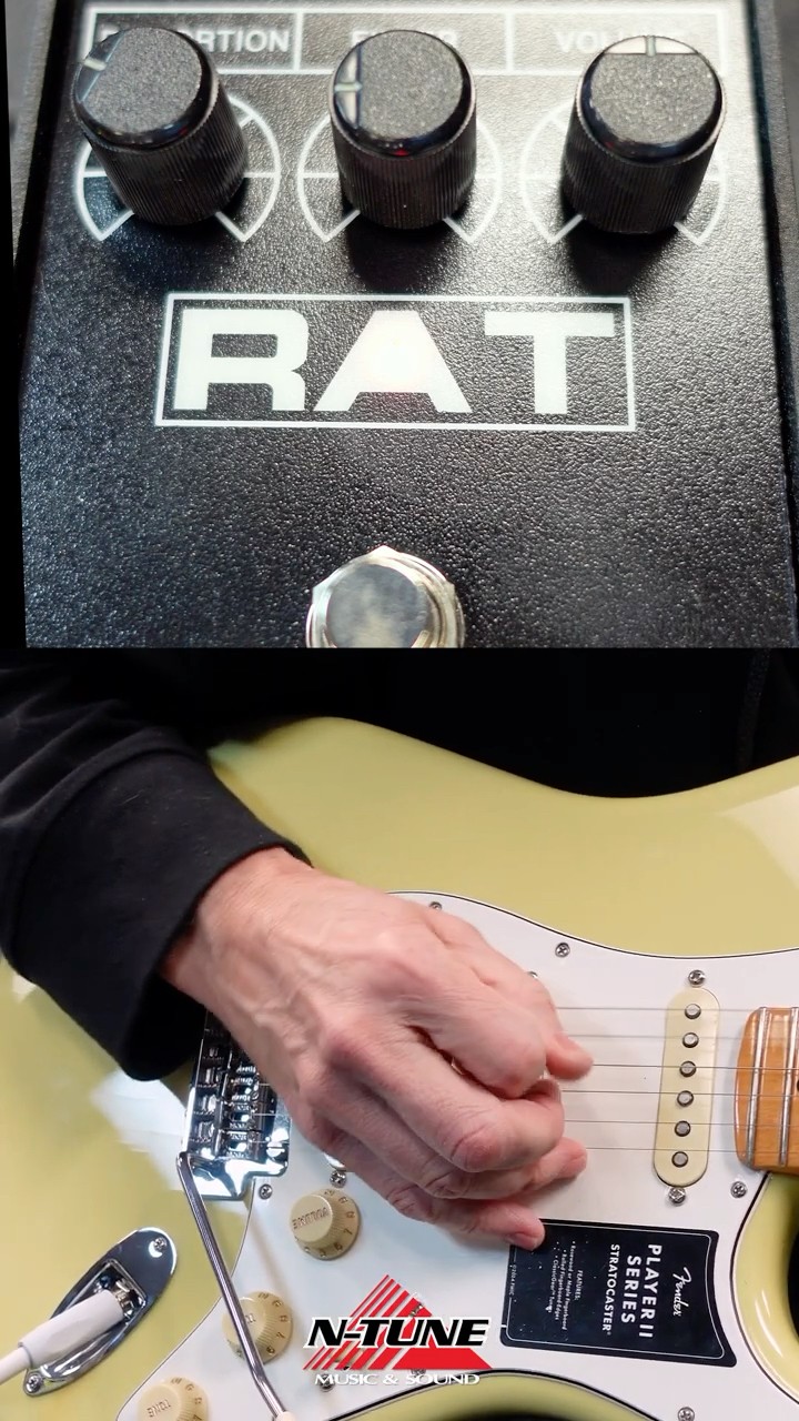 ProCo “The Rat” Distortion Pedal. Mmmm You Dirty Rat - YouTube