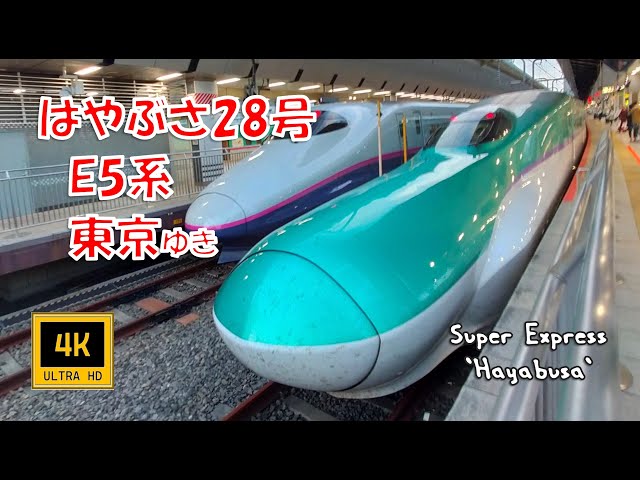 東北新幹線 はやぶさ28号 H5系 東京ゆき(車窓) Super Exp Hayabusa No