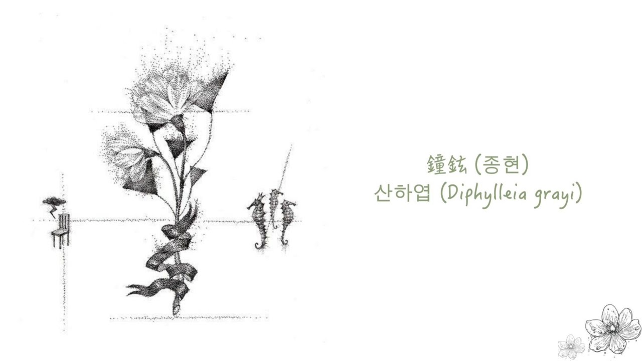 鐘鉉(종현/ JONGHYUN) - 山荷葉(산하엽/ Diphylleia grayi) 中字- YouTube