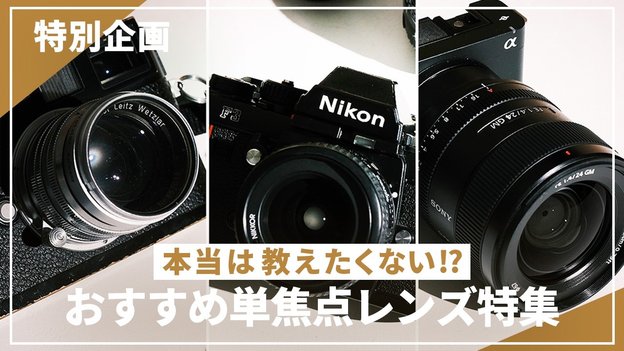 Special Feature] We will introduce recommended lenses carefully