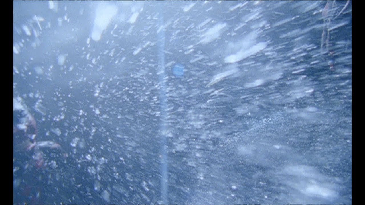 THE BACK HORN｢サニー｣MUSIC VIDEO - YouTube