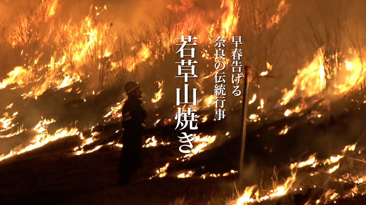 Early spring flames engulf Mount Wakakusa, Mount Wakakusa Burning