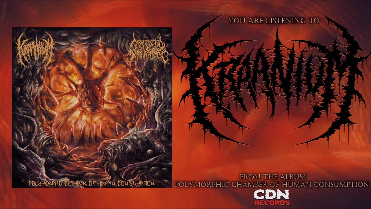 Analepsy | RIFF CULTRIFF CULT