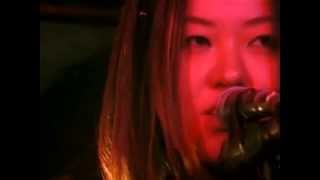 Seagull Screaming Kiss Her Kiss Her - No Telephone [Lofi Rock