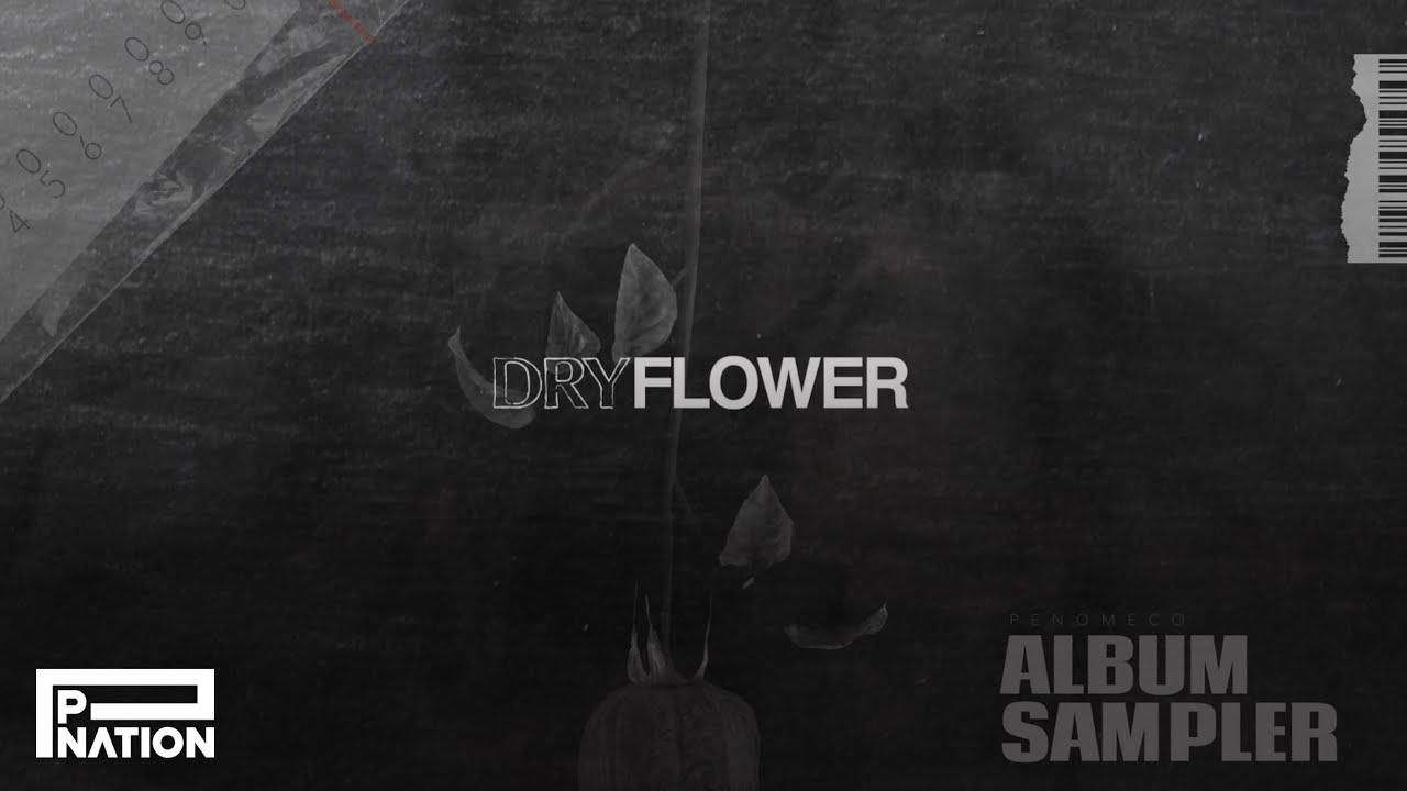 페노메코 (PENOMECO) - 'Dry Flower' Sampler - YouTube