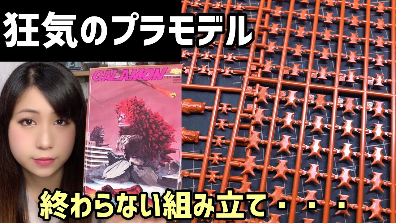 The crazy plastic model that everyone's talking about! A girl