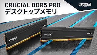 Crucial Pro 32GB Kit (16GBx2) DDR5-5600 UDIMM | CP2K16G56C46U5