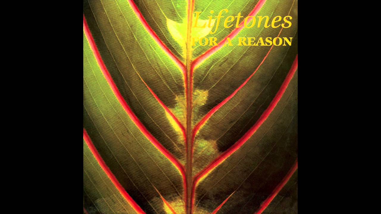 Lifetones - For A Reason (LP) – Meditations