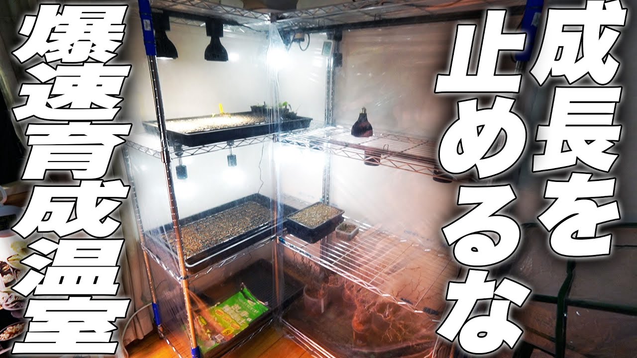 Only 800 yen] Introducing a greenhouse that's a must-see for those