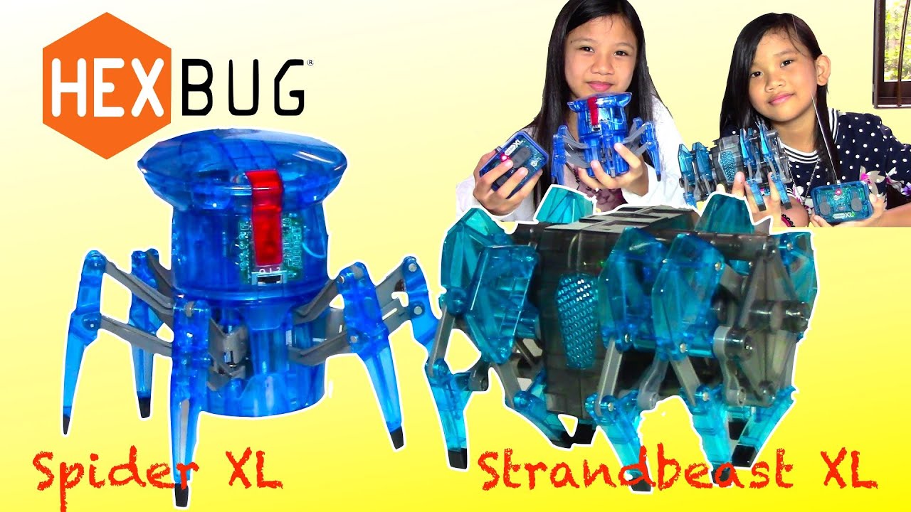 HEXBUG: Spider XL, Strand Beast XL + Surprise Egg Game - YouTube
