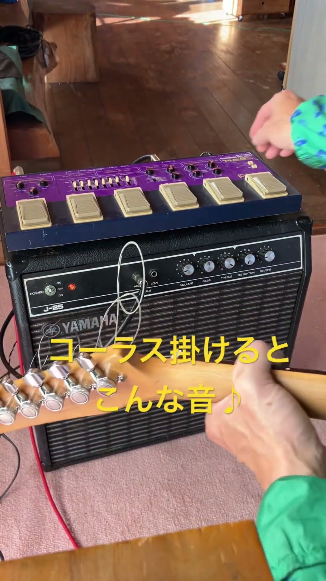 ベース用マルチMaxon PUE5Bのモジュレーション系はこんな感じです