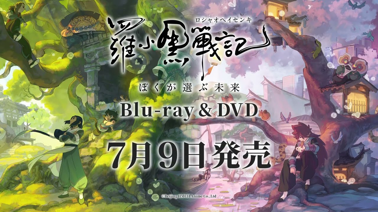DVD】映画 羅小黒戦記 ぼくが選ぶ未来 完全生産限定版 | アニメイト