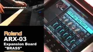 ARX-03 SuperNATURAL Expansion Board 