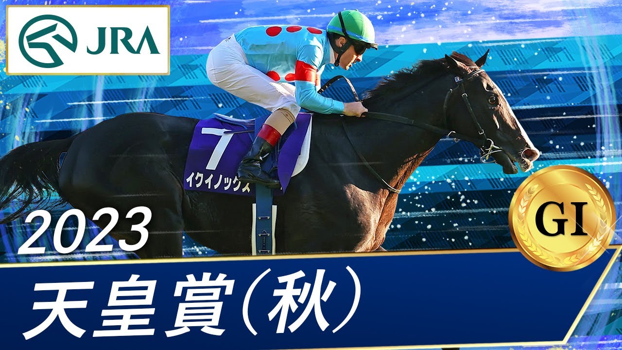 イクイノックス ミニゼッケン 天皇賞秋 2023 競馬 JRA 2023 Emperor's