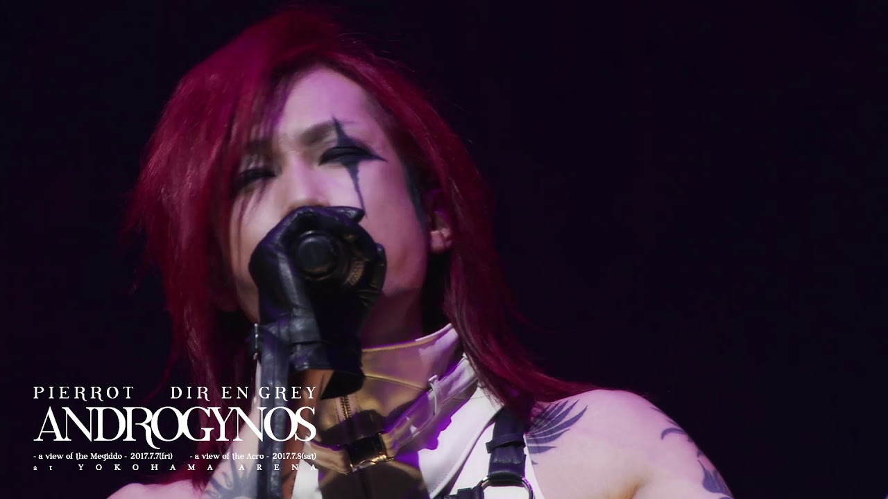 PIERROT×DIR EN GREYの横浜アリーナ公演『ANDROGYNOS』収録Blu