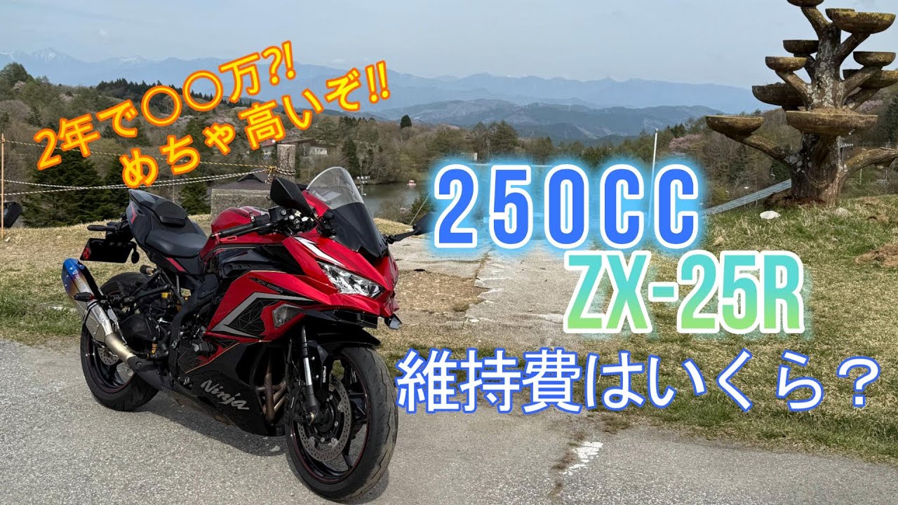 Is it true that maintenance costs are XX million yen in 2 years