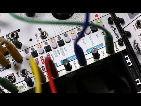 2HP Pluck - a timeless beauty of a module - YouTube