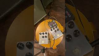 TSV808 Clone | 音楽学校 アルファノートミュージックスクール ～立川