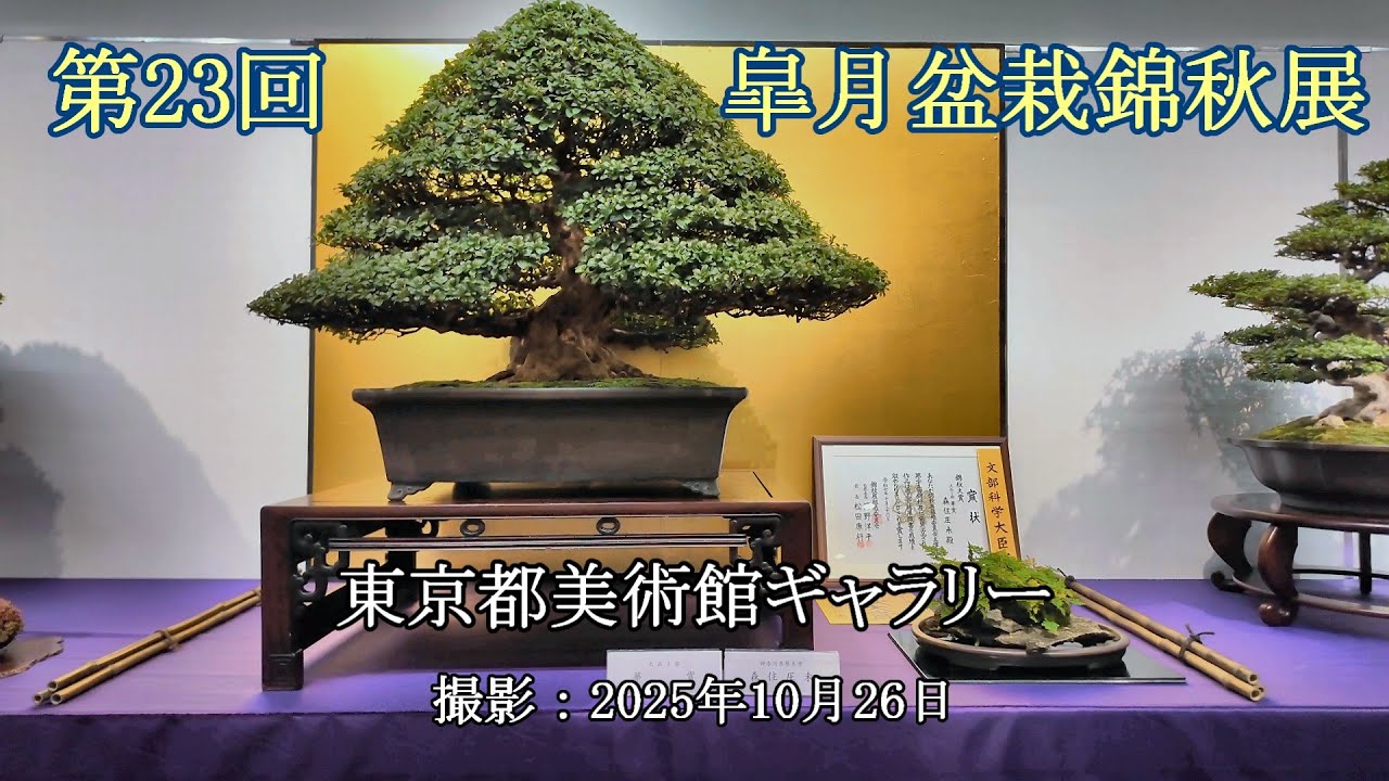 第23回皐月盆栽錦秋展 = 主催：日本皐月協会 = [4K] The 23rd Satsuki