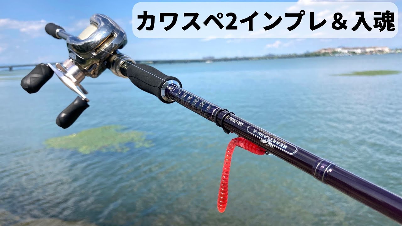 日本製 ダイワ ハートランドZ カワスペ2 ダイワ(Daiwa) KAWA SPECIAL