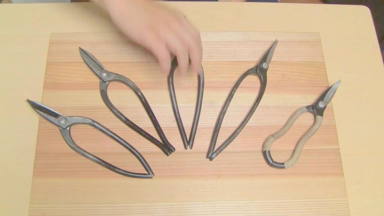 maxresdefault.jpg?sqp=-