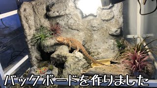 爬虫類ケージのバックボードを作りました【後半】 - YouTube